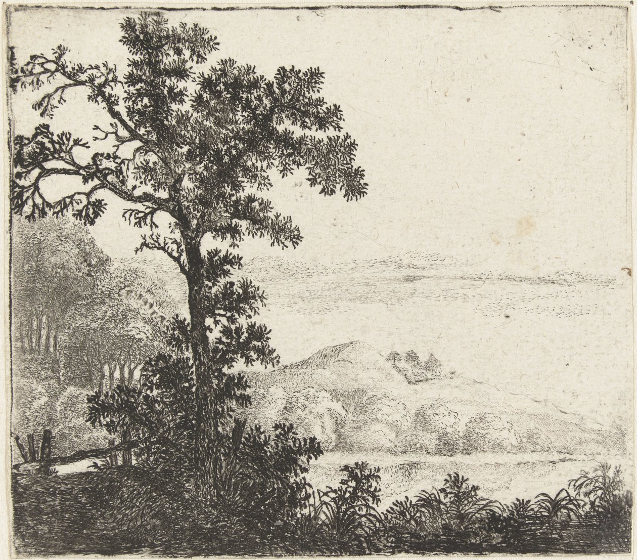 Landschaft mit Baum am Flussufer von Jan van Brosterhuyzen