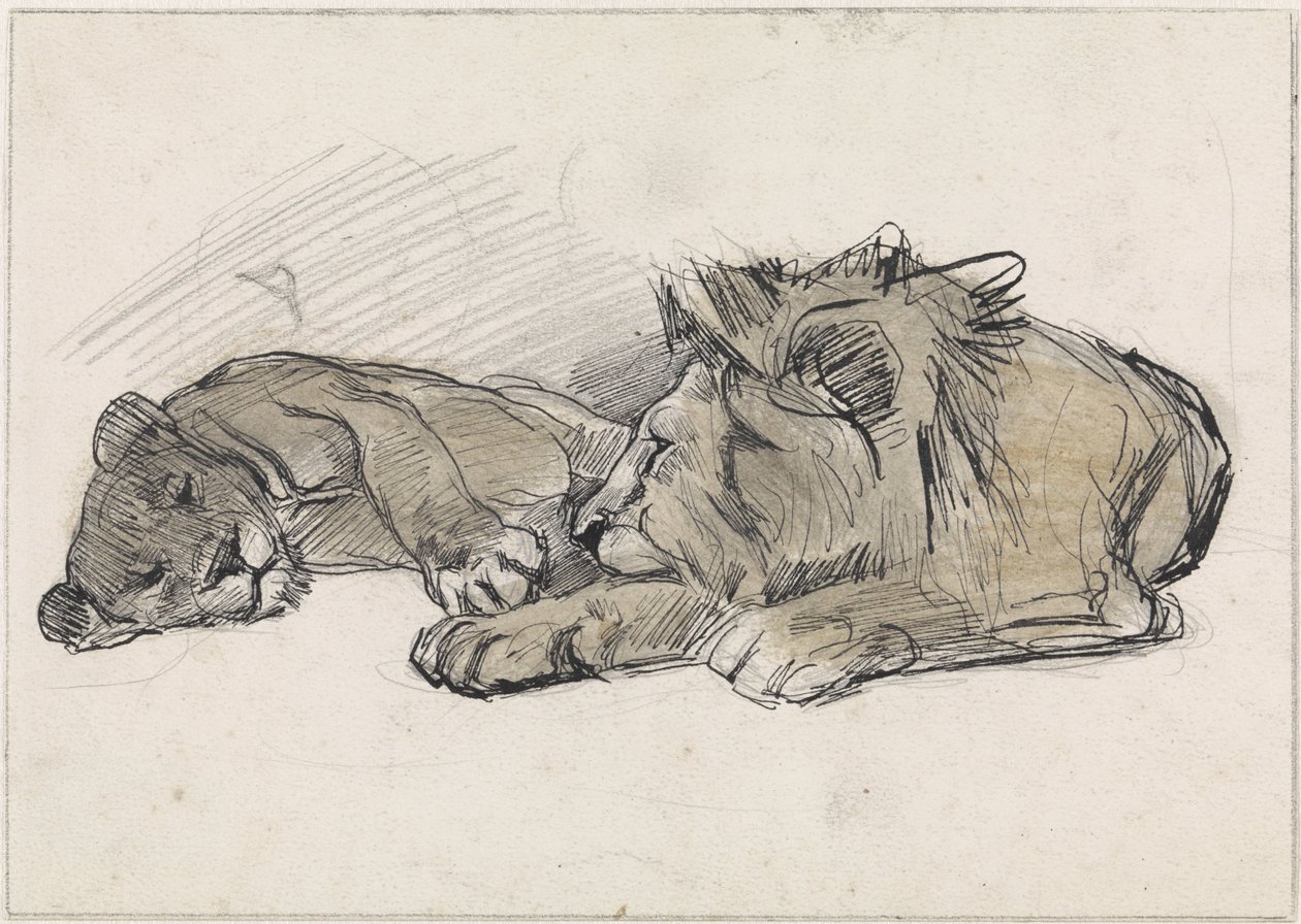Liegender Löwe und Löwin von Jan van Essen