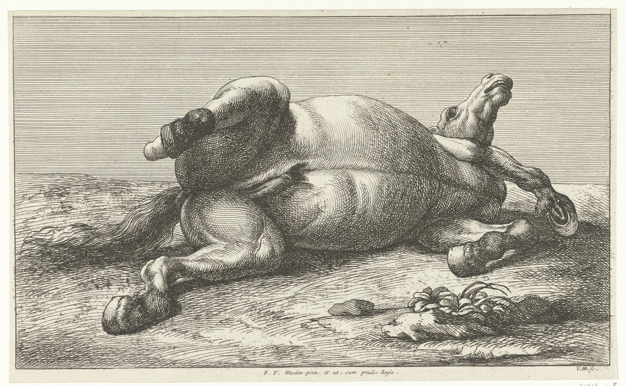 Gefallenes Pferd auf der linken Seite liegend von Jan van Huchtenburg