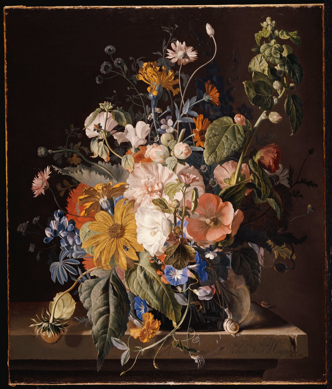Mohnblumen, Stockrose, Prunkwinde, Viola, Gänseblümchen, Duftwicke, Ringelblumen und andere Blumen in einer Vase mit einer Schnecke auf einem Sims von Jan van Huysum
