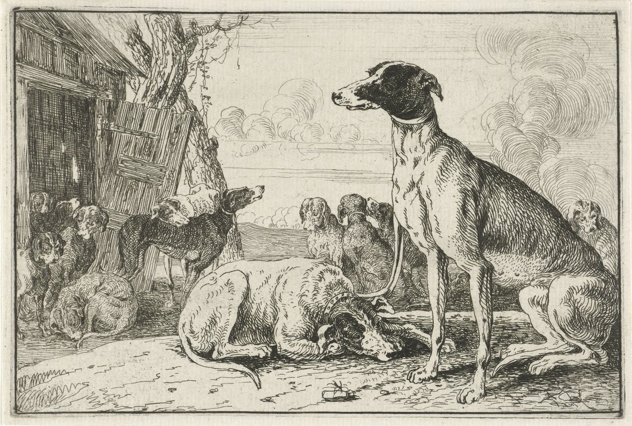Hundezwinger von Jan van den Hecke