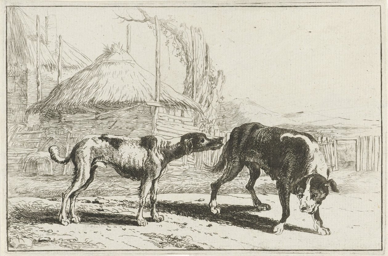 Rüde und Hündin (Dieren, Zoographiam) von Jan van den Hecke