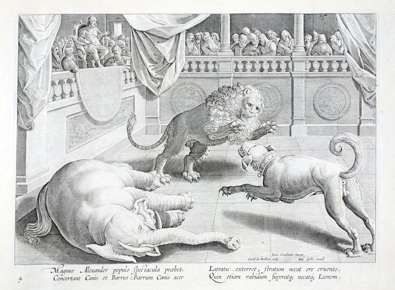Alexander der Große veranstaltet ein Spektakel, ein Kampf zwischen Löwe, Hund und Elefant, Illustration aus 
