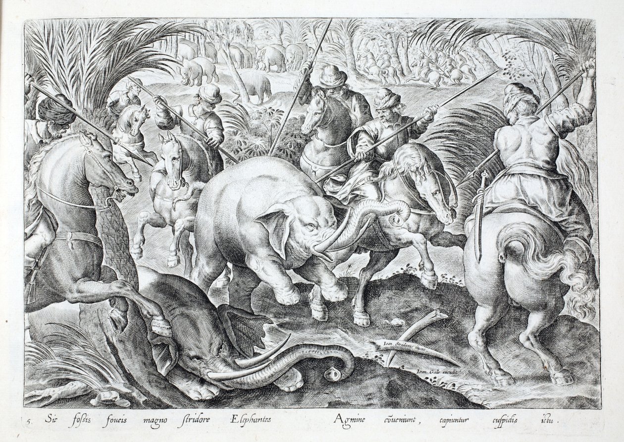 Elefanten machen großen Lärm, als sie von den Speeren der Jäger getroffen werden, Illustration aus 