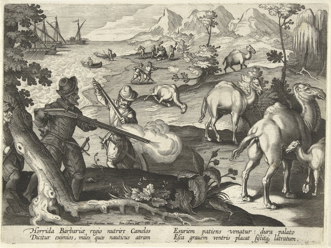 Matrosen in einem schrecklichen Barbarenland töten Kamele mit Musketen, um ihren Hunger zu stillen, Illustration aus 