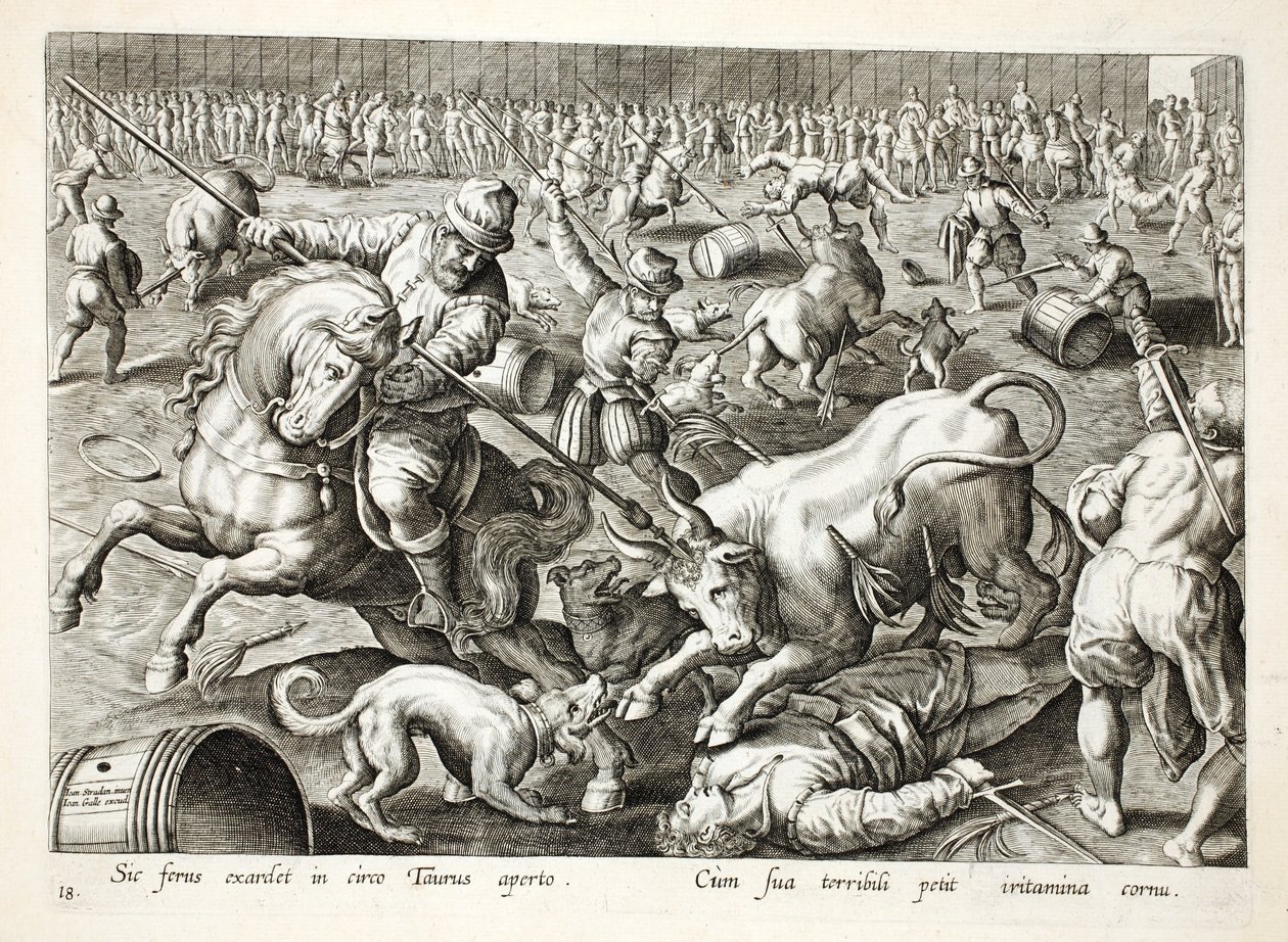 Eine Massenstierkampf in einem Gehege, Illustration aus 