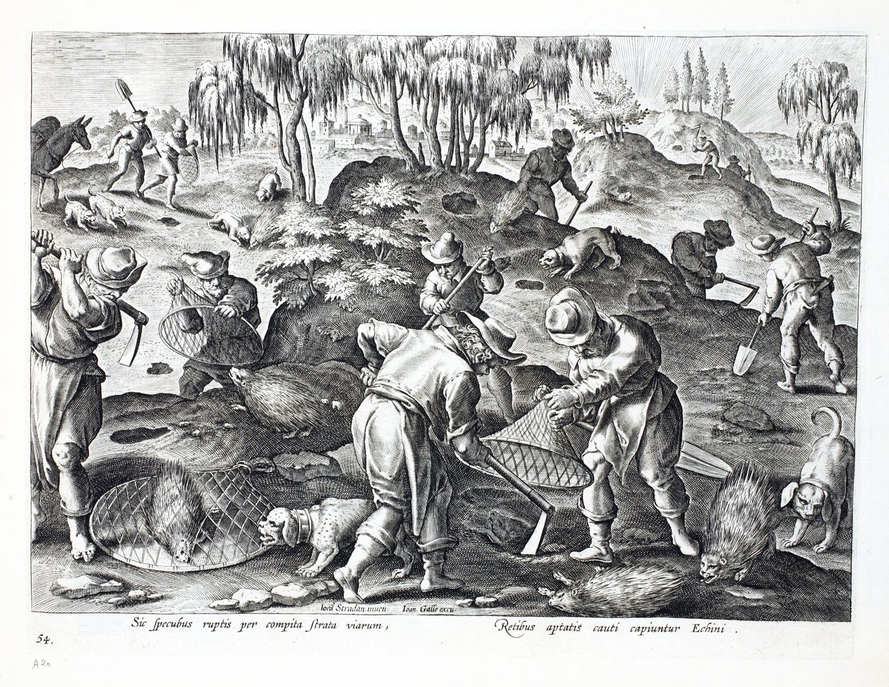 Ausgraben und Fangen von Stachelschweinen, Platte 54, Illustration aus 