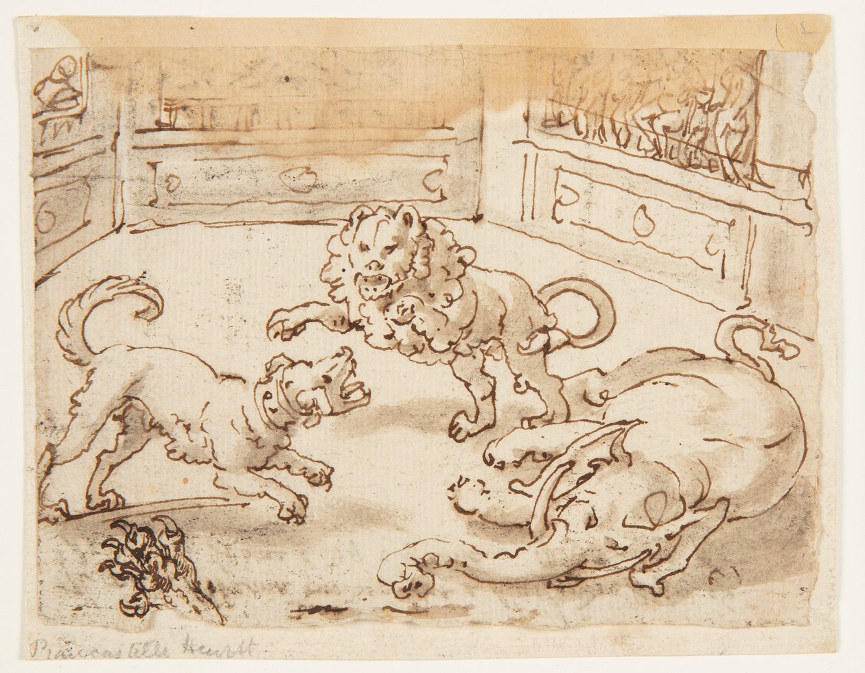 Alexander der Große beobachtet einen Kampf zwischen seinem Hund, einem Elefanten und einem Löwen von Jan van der Straet, called Stradanus