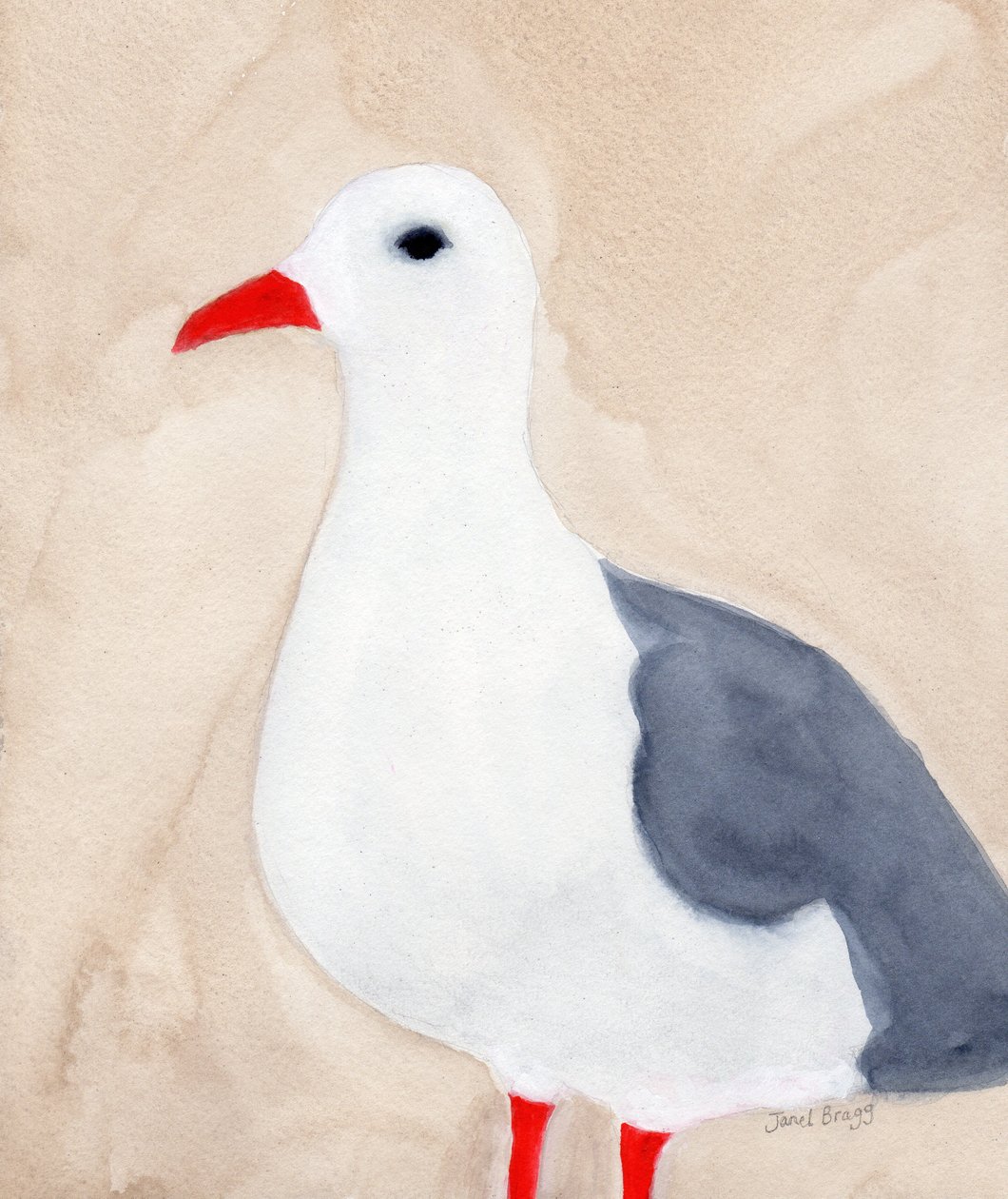 Möwe aus Anacortes II, ca. 2018 von Janel Bragg