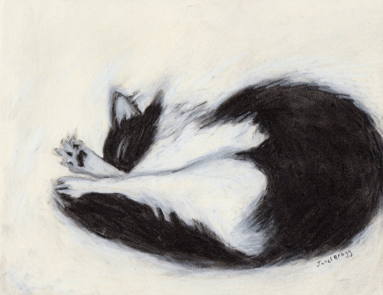 Thomas macht ein Nickerchen, ca. 2018 von Janel Bragg