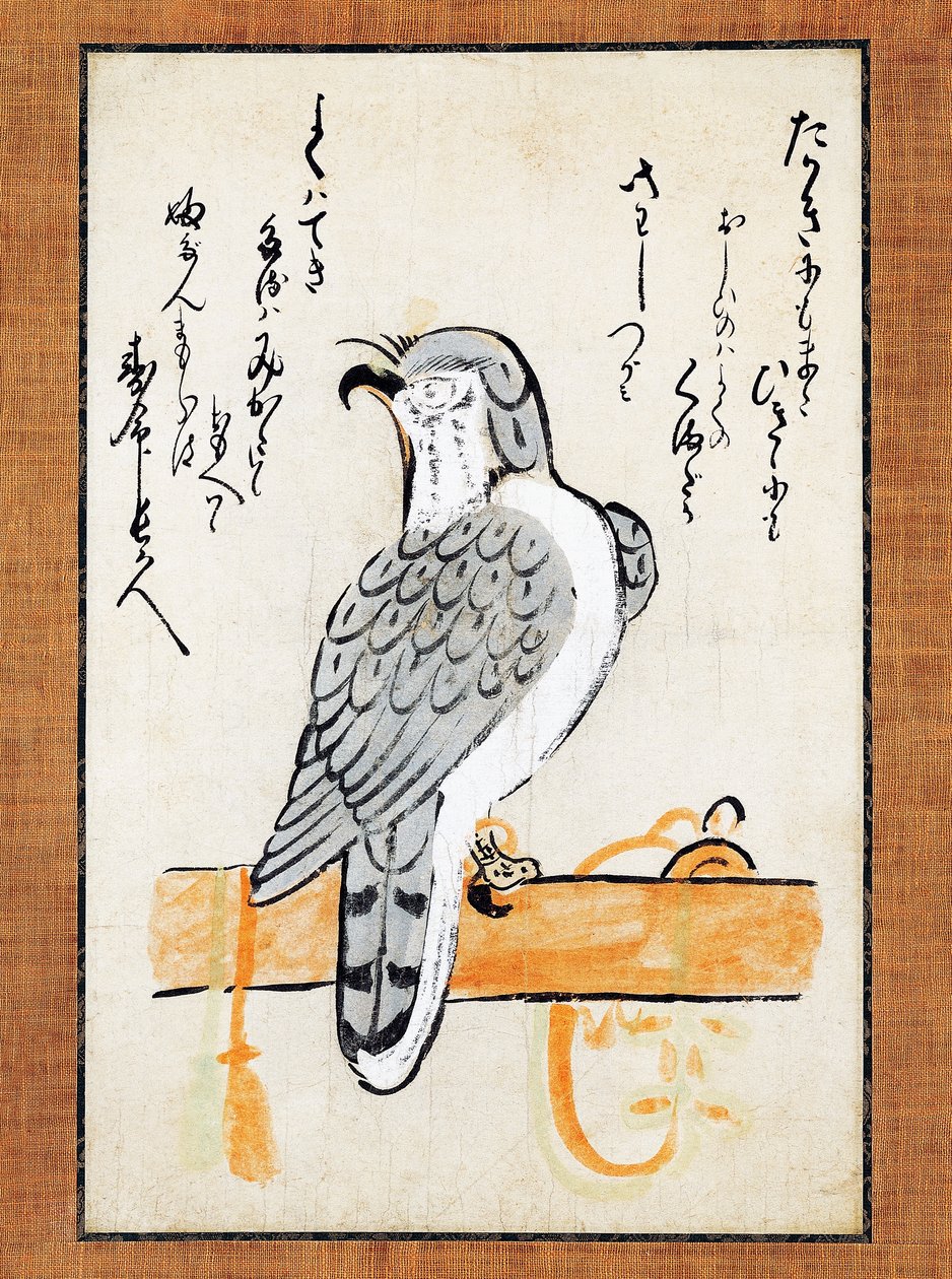 Falke an Stange gebunden, Illustration auf vertikalem Rollbild, spätes 19. Jahrhundert, Tinte und Farbe auf Papier, 43x2,5 cm, japanische Zivilisation, Meiji-Periode von Japanese School