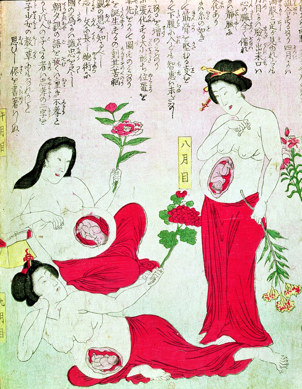 Schwangere Frauen, 1881 von Japanese School