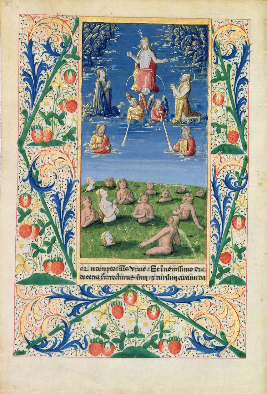 Ms Lat. Q.v.I.126 f.78v Auferstehung der Geretteten, aus dem 