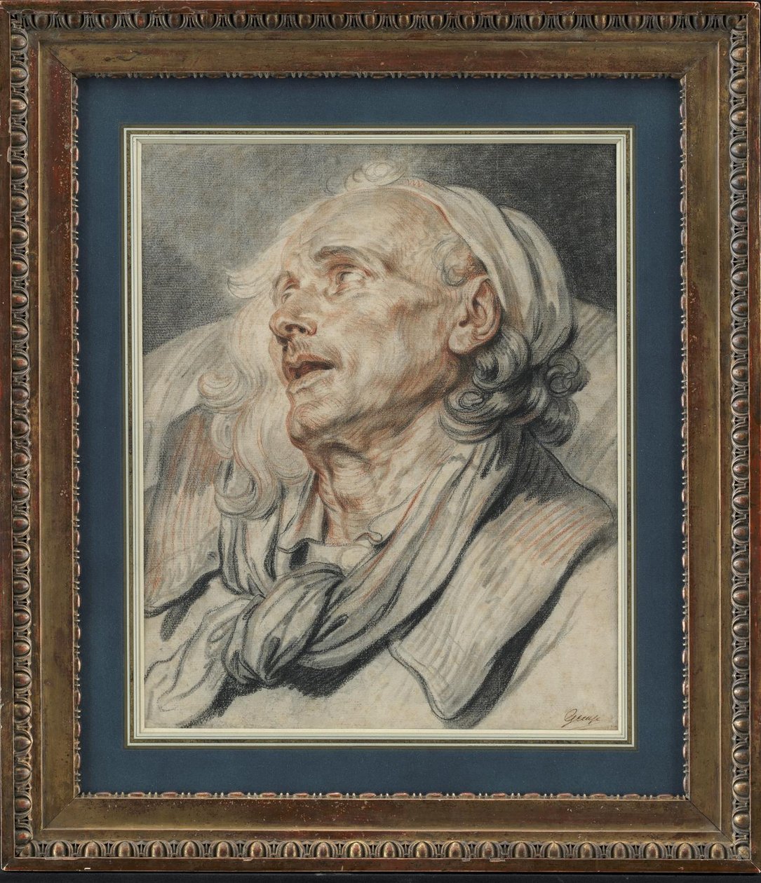 Studie des Kopfes eines Lammes von Jean-Baptiste Greuze