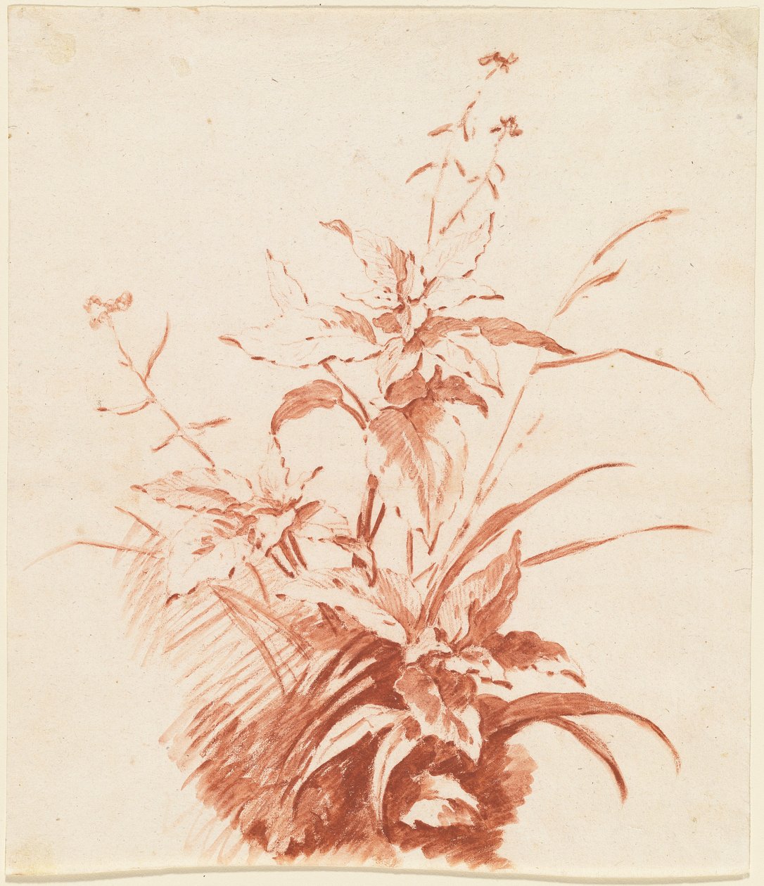 Blühende Pflanze mit Gras von Jean-Baptiste Huet