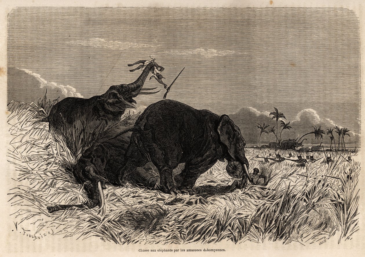 Die Elefantenjagd durch die Dahomey-Amazonen von Jean Antoine Valentin Foulquier