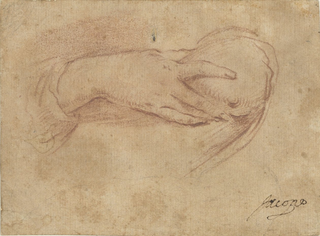 Hand an einer Brust von Jean Antoine Watteau (rejected attribution)
