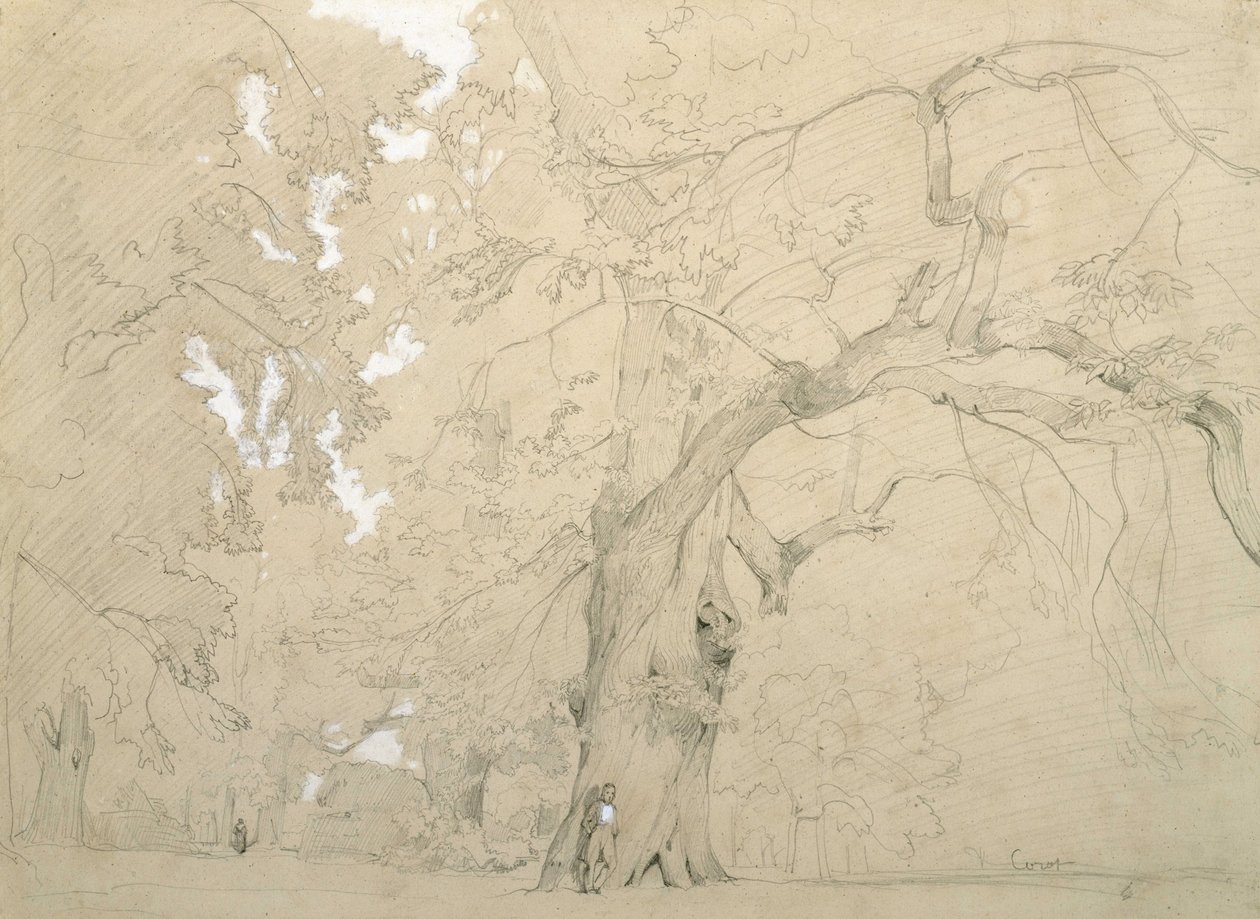 Junger Mann vor einer großen Eiche von Jean Baptiste Camille Corot