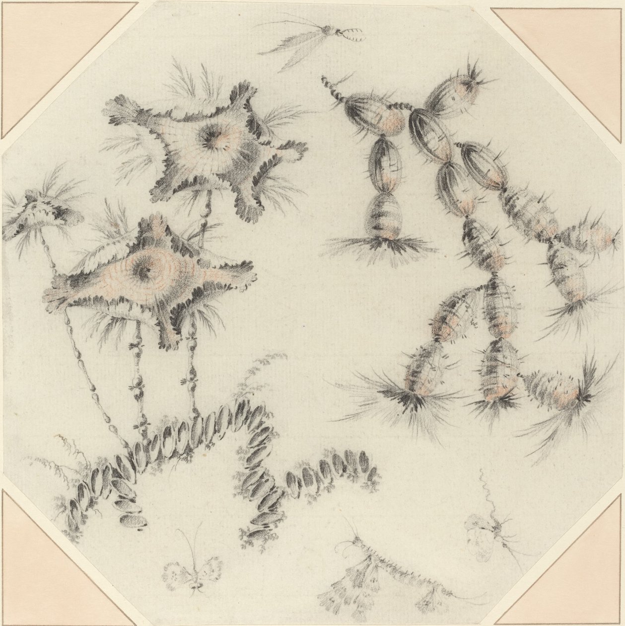 Bambusblumen und Kaktus von Jean Baptiste Pillement