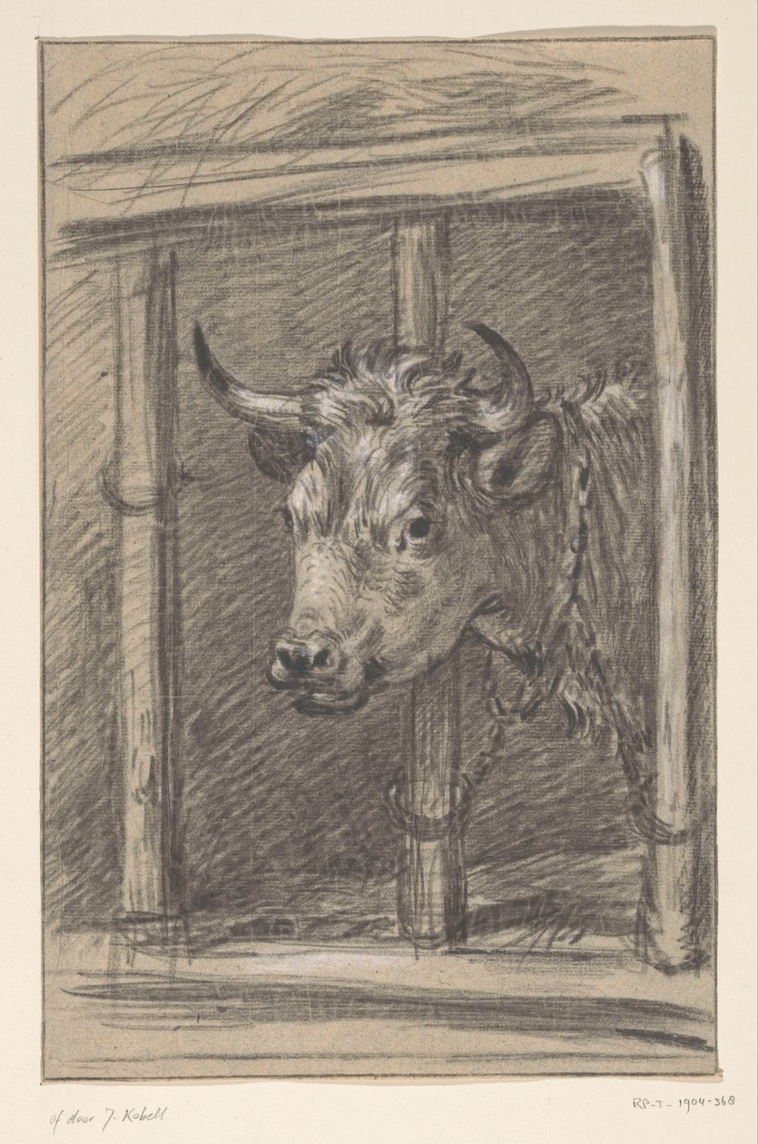 Kopf einer Kuh, durch die Gitter eines Stalls von Jean Bernard