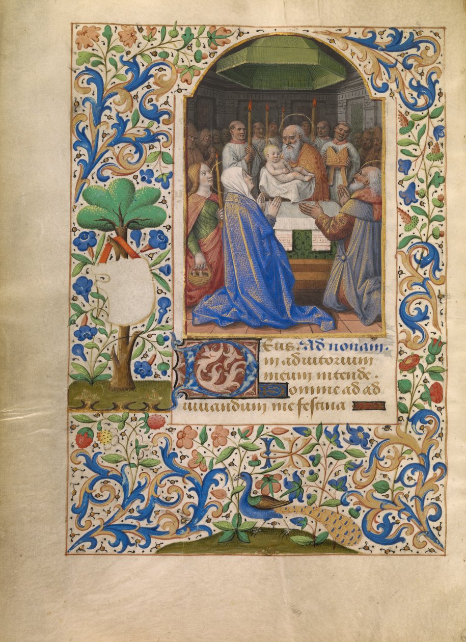 Die Darstellung im Tempel von Jean Bourdichon