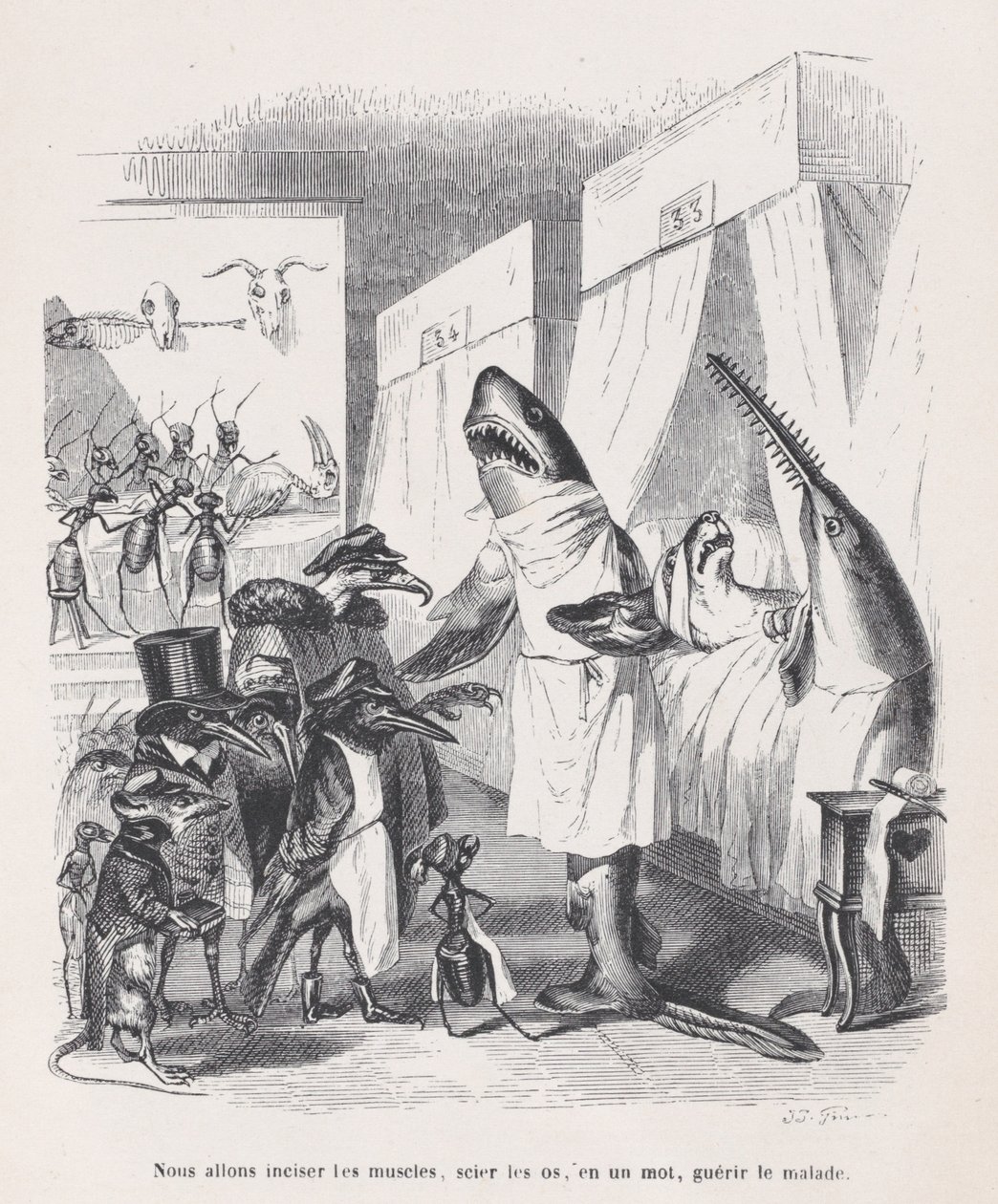 Wir werden die Muskeln einschneiden, die Knochen sägen, mit einem Wort, die Kranken heilen, ca. 1837-47 von Jean Ignace Isidore Gérard