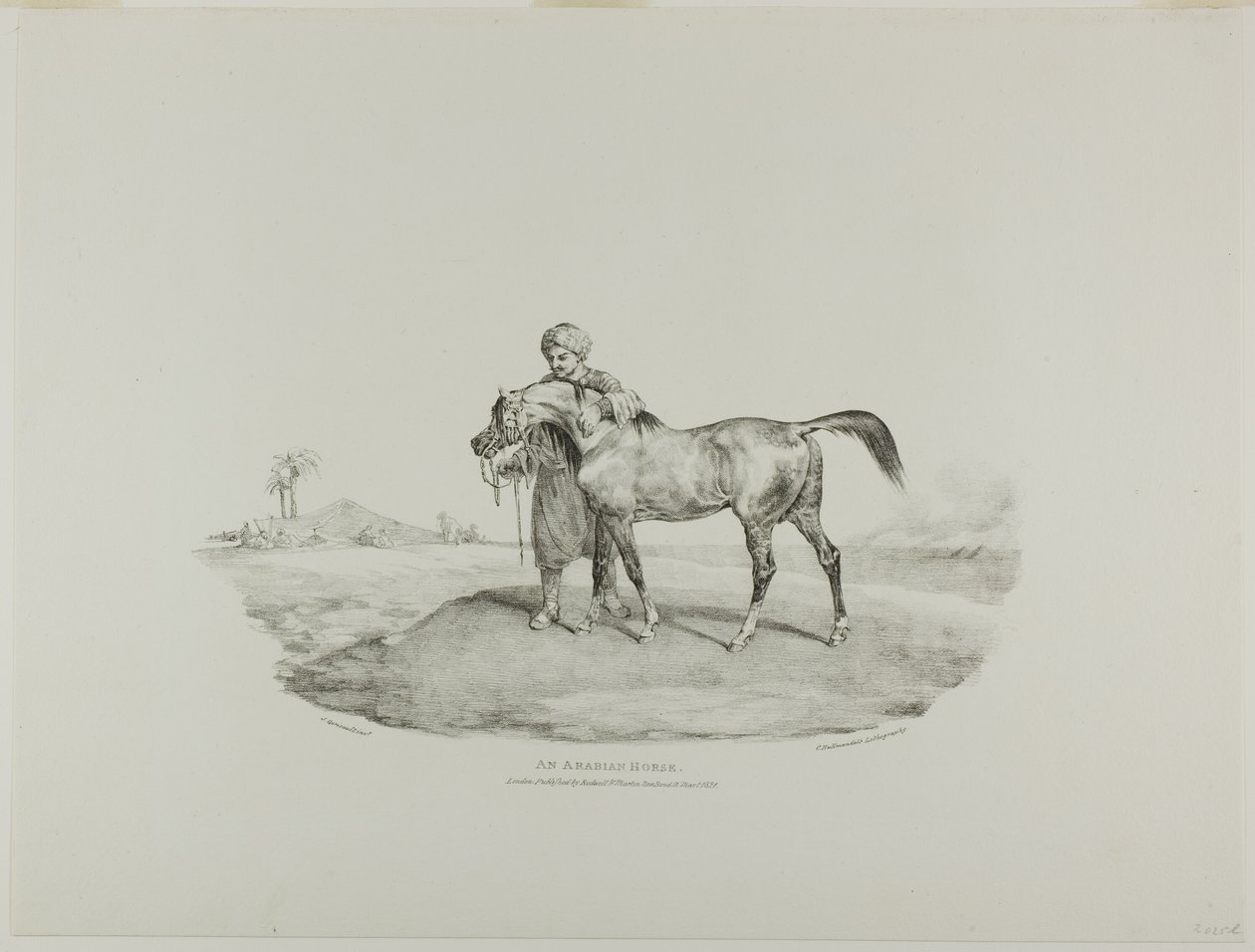 Ein arabisches Pferd, Tafel 8 aus Verschiedene Motive aus dem Leben und auf Stein gezeichnet (Die englische Suite) von Jean Louis André Théodore Géricault