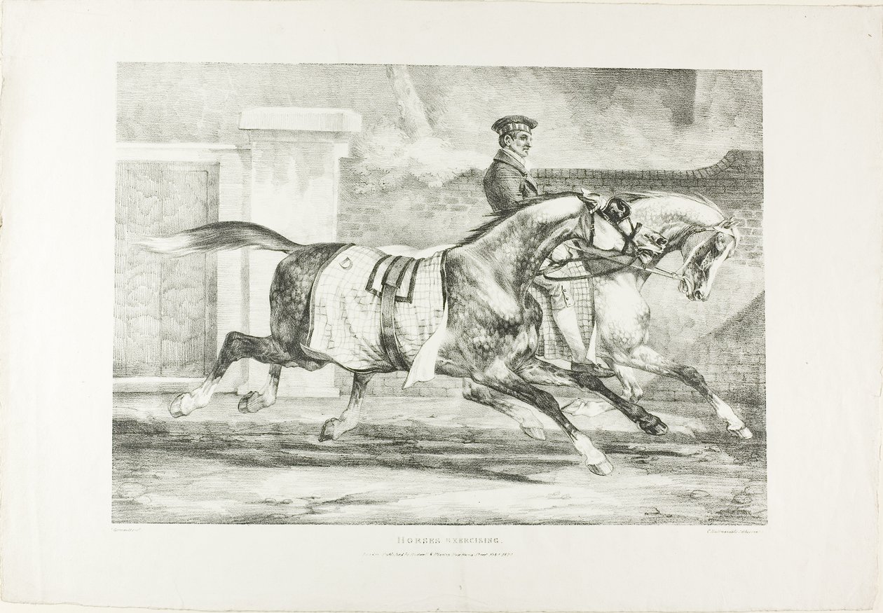 Pferde beim Üben, Tafel 6 aus Verschiedene Motive nach dem Leben auf Stein gezeichnet von Jean Louis André Théodore Géricault