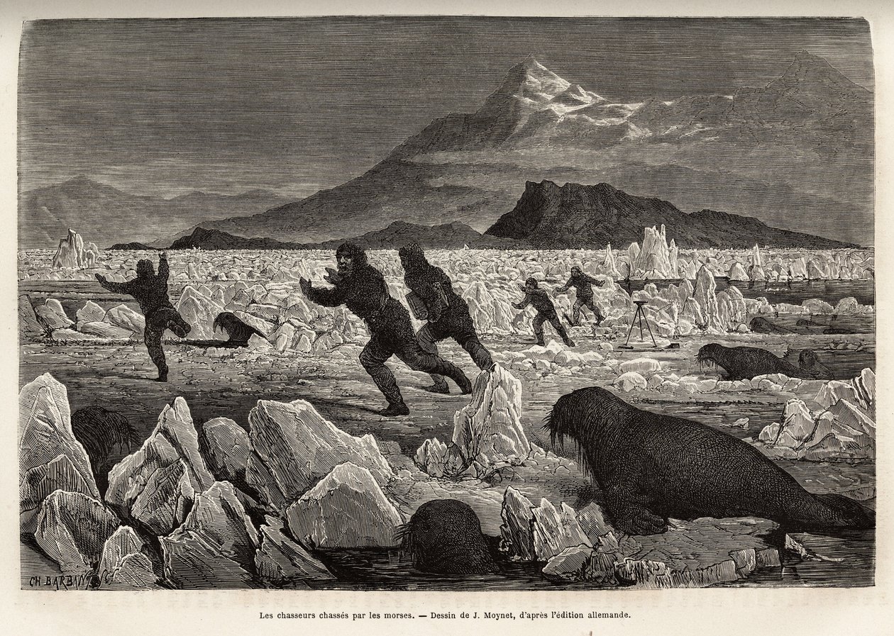 Ein Teil der Besatzung des Schiffes La Germania, auf den Clavering-Inseln, stieg auf das Eis, um zu jagen, wurde selbst von Walrossen gejagt, die aus dem Wasser kamen, graviert nach der Zeichnung von J. Moynet, zur Illustration einer Reise zum Nordpol 1869 von Jean Pierre Moynet
