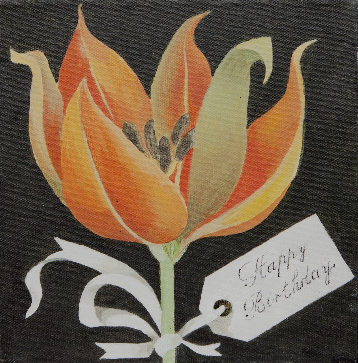 Tulpe, Alles Gute zum Geburtstag von Jennifer Abbott