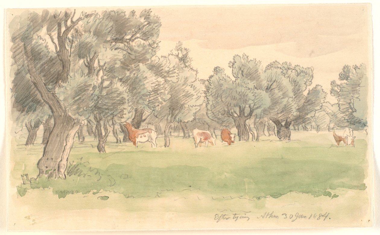 Griechische Landschaft mit Olivenbäumen und grasenden rotbraunen Kühen von Joakim Frederik Skovgaard