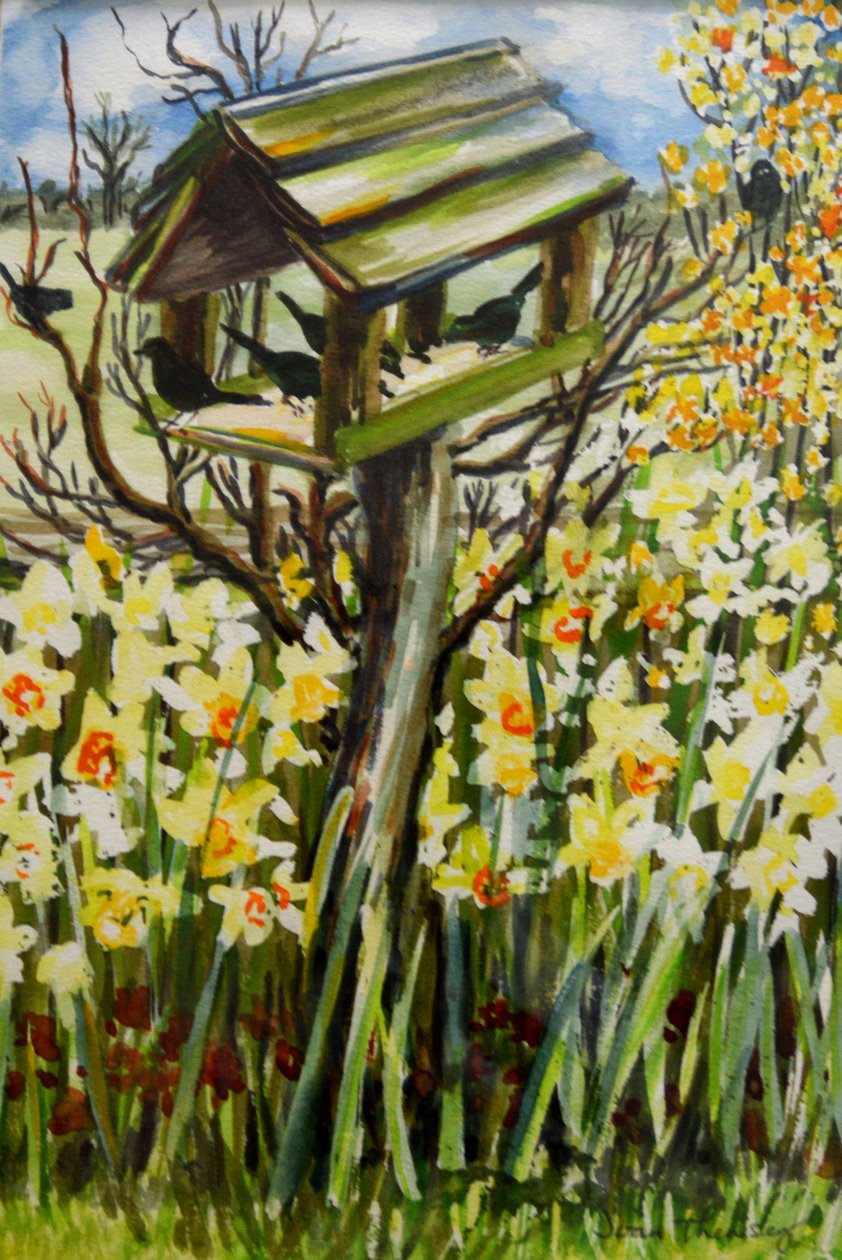 Narzissen und Vögel im Vogelhaus, 2000 (Gouache) von Joan Thewsey