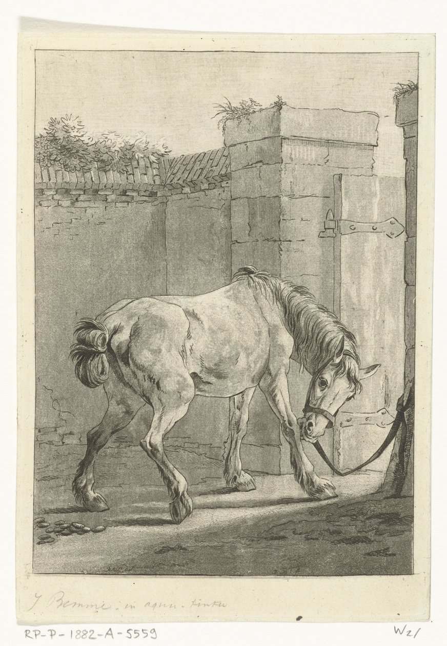 Ein Pferd an einen Pfahl gebunden von Joannes Bemme