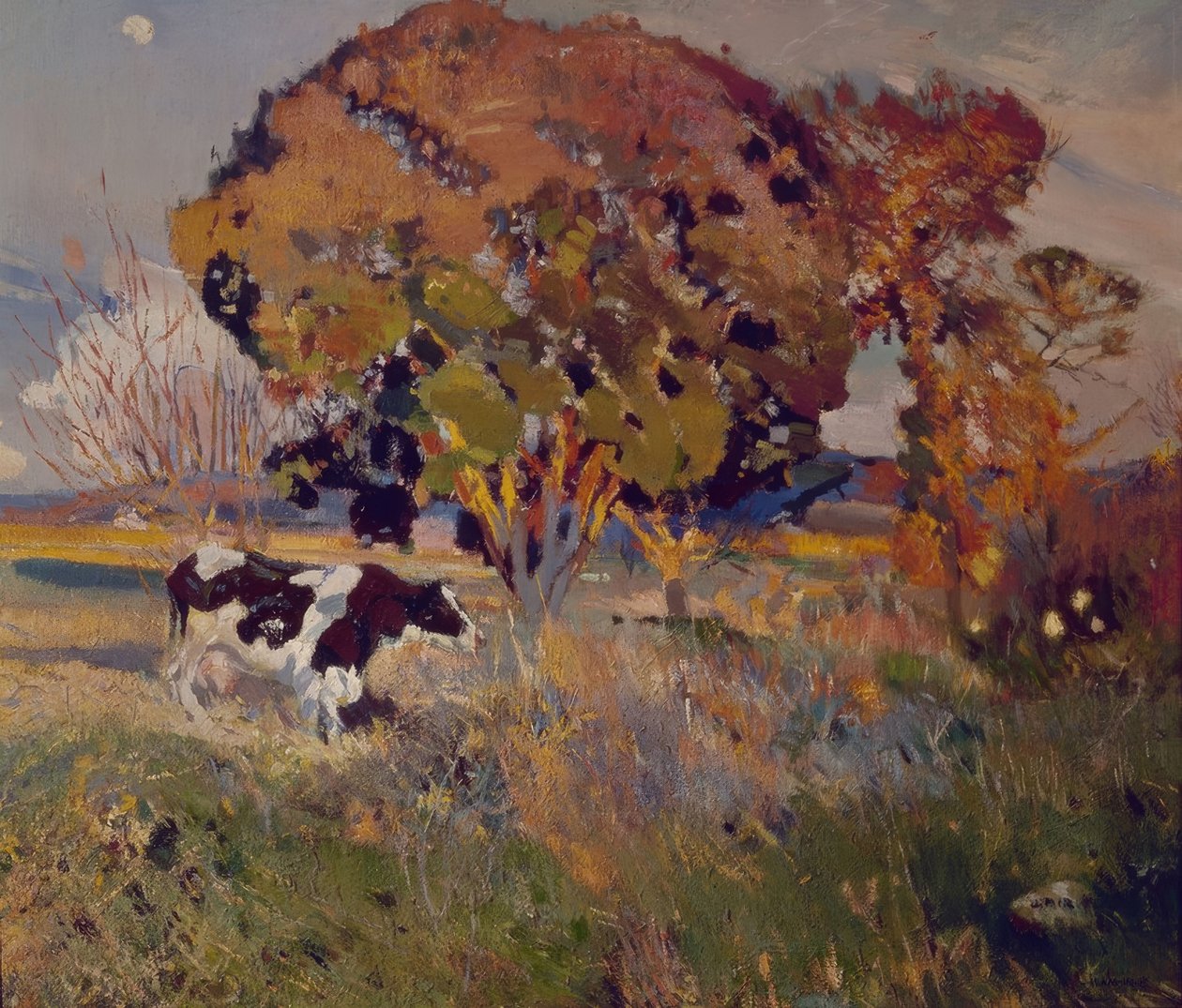 Die Kuh und die Eiche von Joaquim Mir i Trinxet