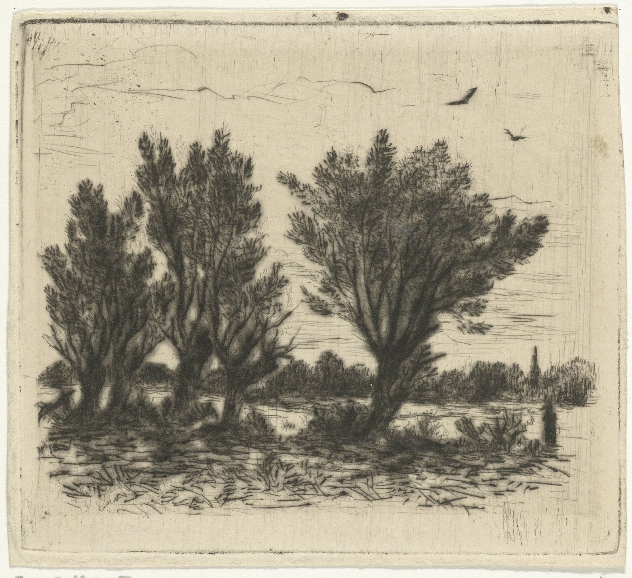 Weidenreihe von Johan Frederik Croockewit