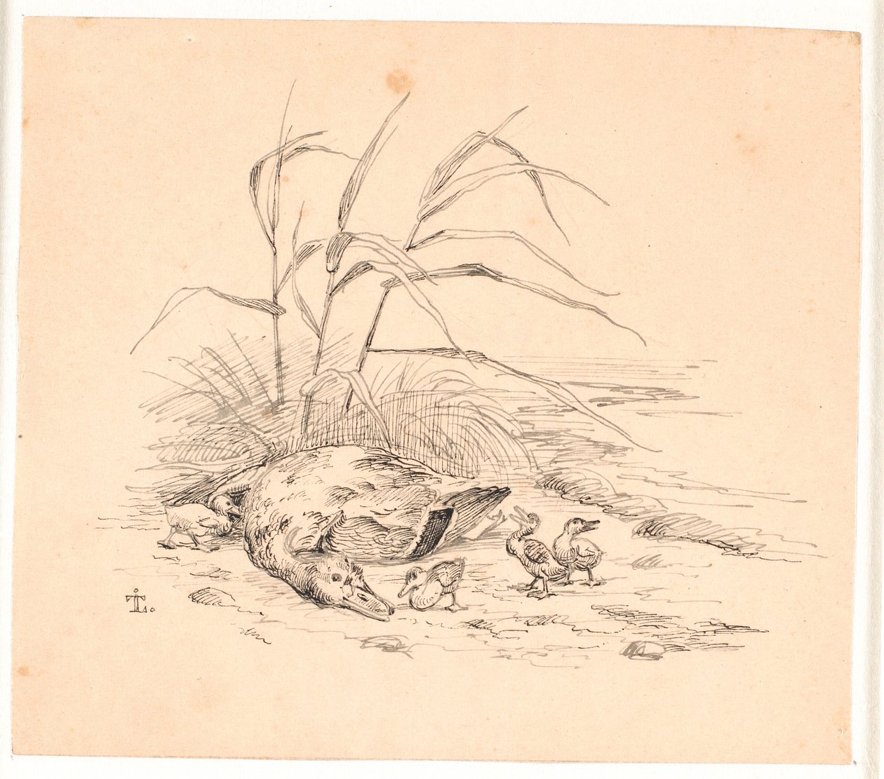 Die getötete Wildente. Illustration zu Kaalunds "Fabler for Børn". von Johan Thomas Lundbye