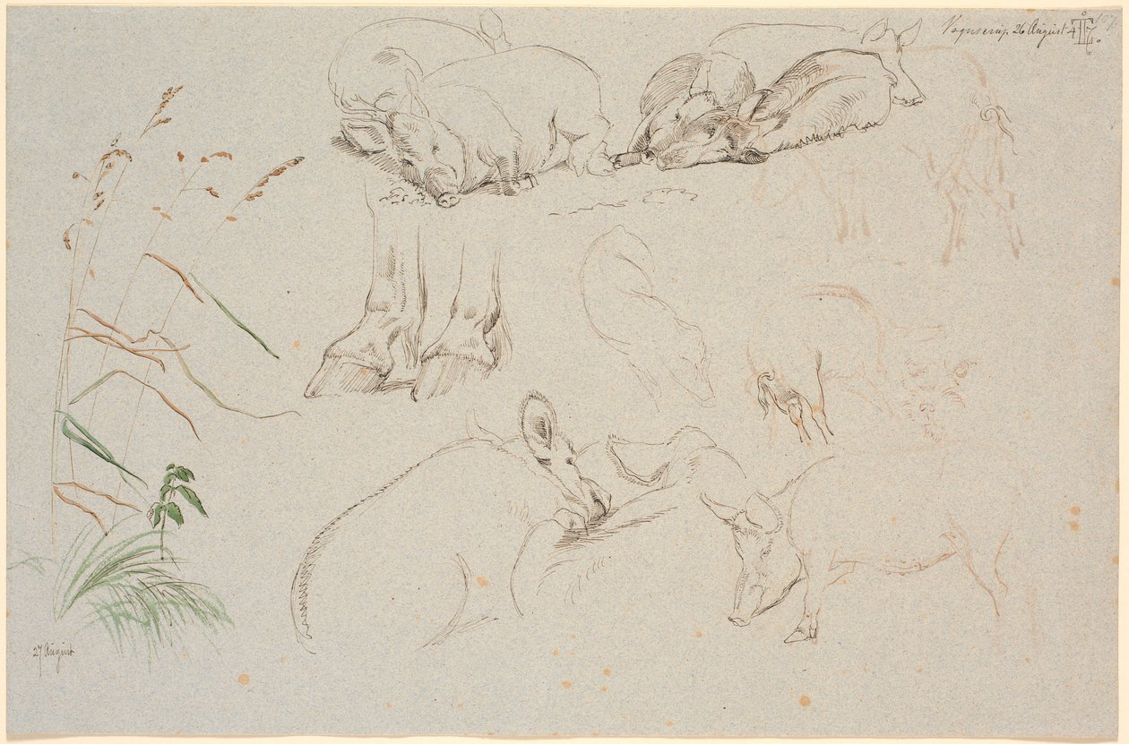Studienblatt aus Vognserup. Verschiedene Studien von Schweinen. Eine Studie von Pferdehufen. Eine Studie von einem Hundekopf und eine Studie von Gras von Johan Thomas Lundbye