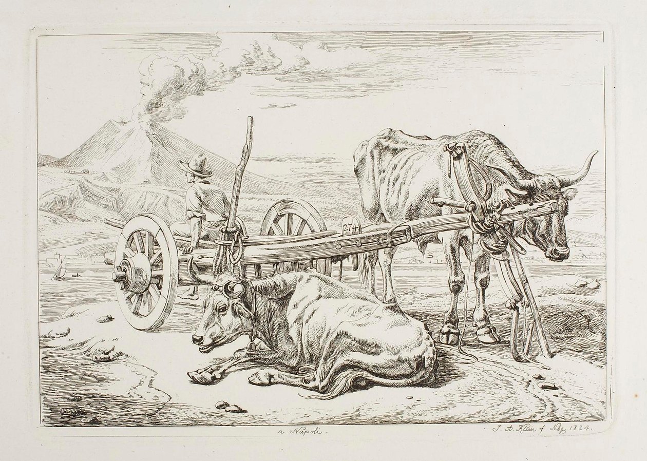 In Neapel (Ochsen und ein Wagen in Neapel) von Johann Adam Klein