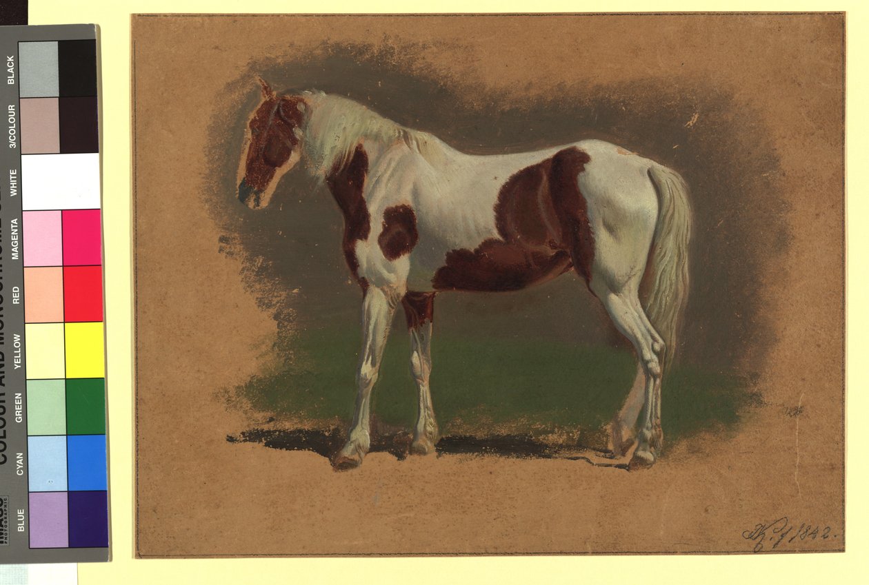 Pferdestudie von Johann Adam Klein