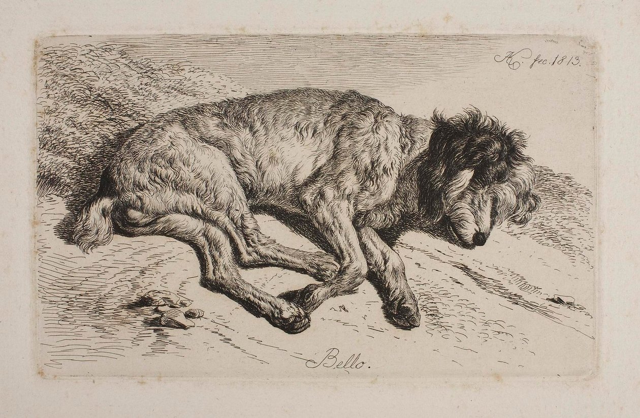 Schlafender Hund, Bello von Johann Adam Klein