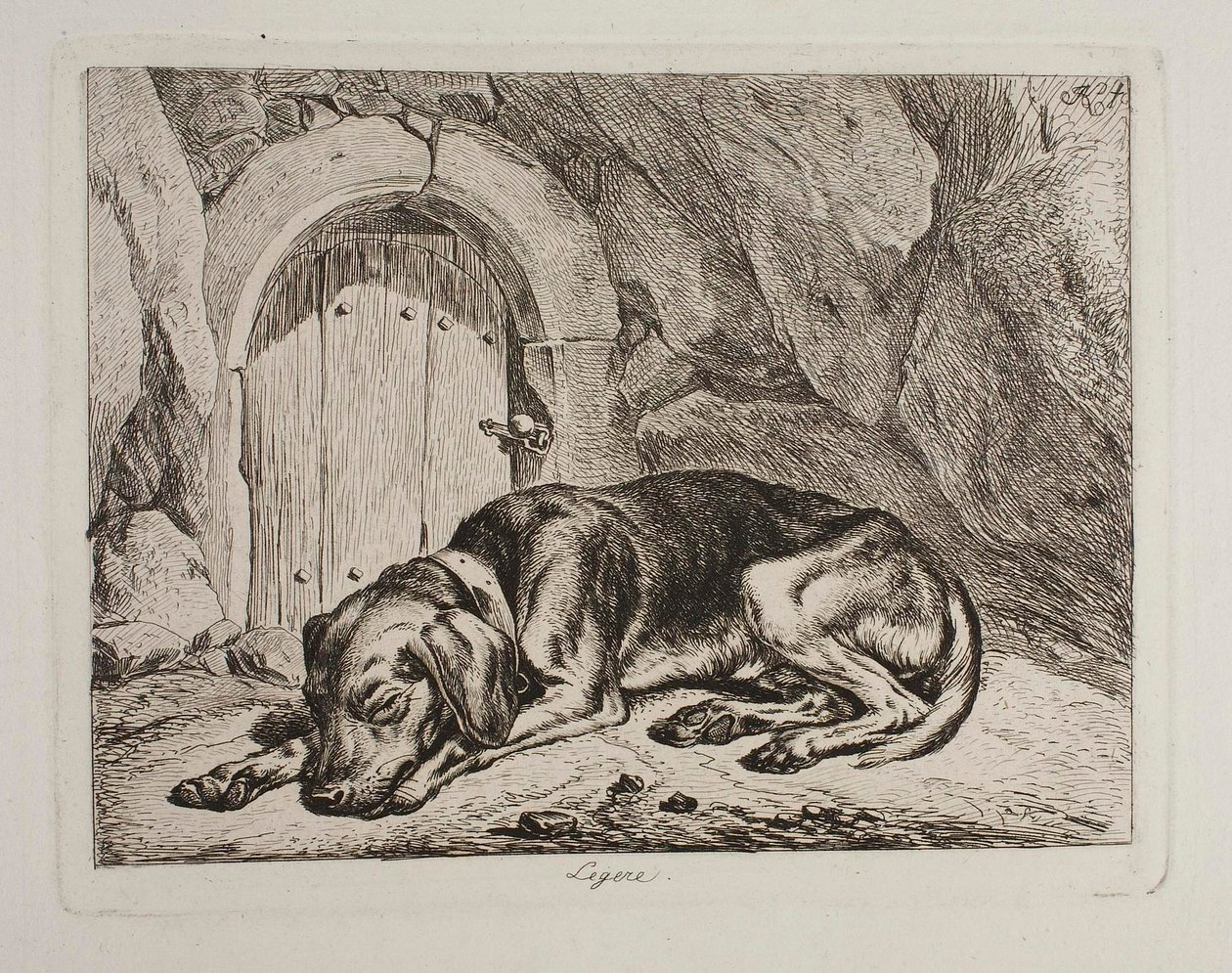 Der Hund Legere von Johann Adam Klein