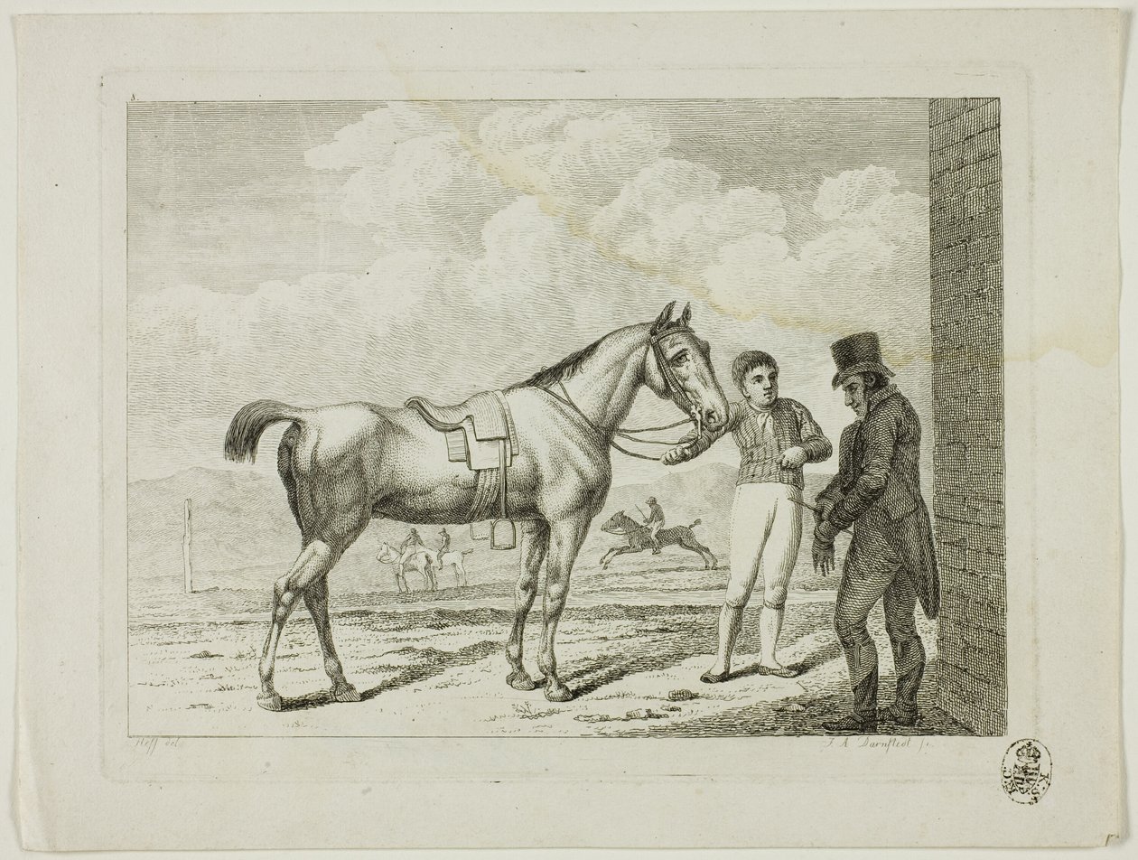 Reitschule und Pferde von Johann Adolph Darnstedt