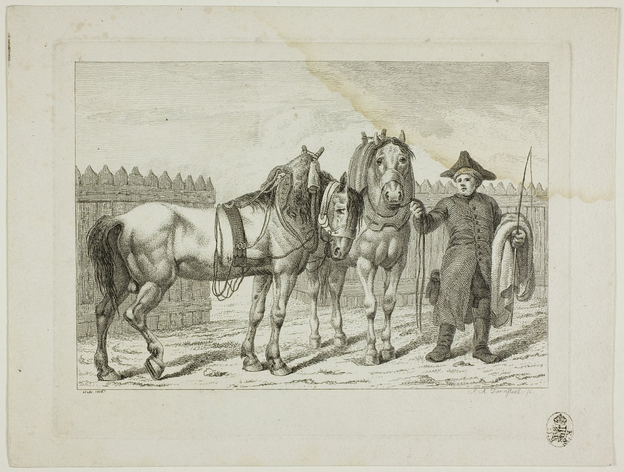 Reitschule und Pferde von Johann Adolph Darnstedt