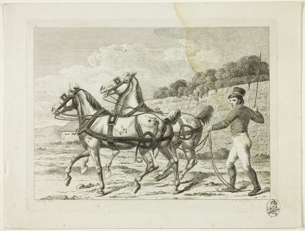 Reitschule und Pferde von Johann Adolph Darnstedt