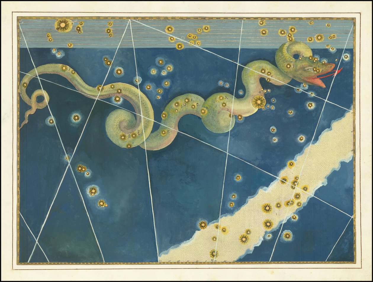 Hydra - Johann Bayer von Johann Bayer