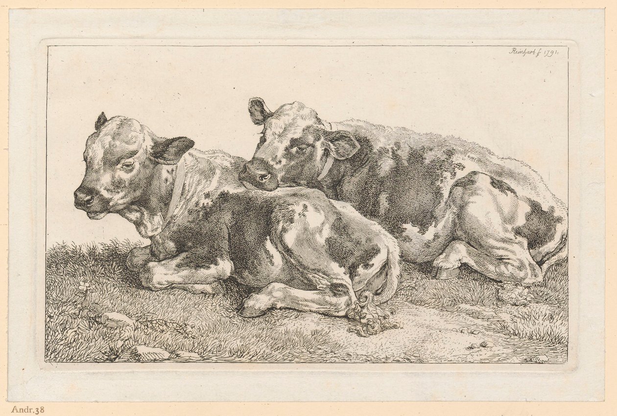 Zwei Kälbchen von Johann Christian Reinhart