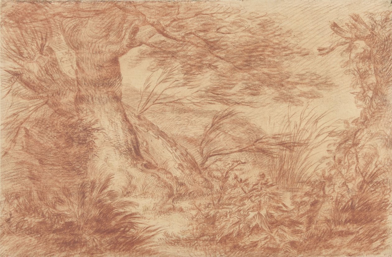 Pflanzen und Gräser bei alten Weidenstämmen von Johann Elias Ridinger