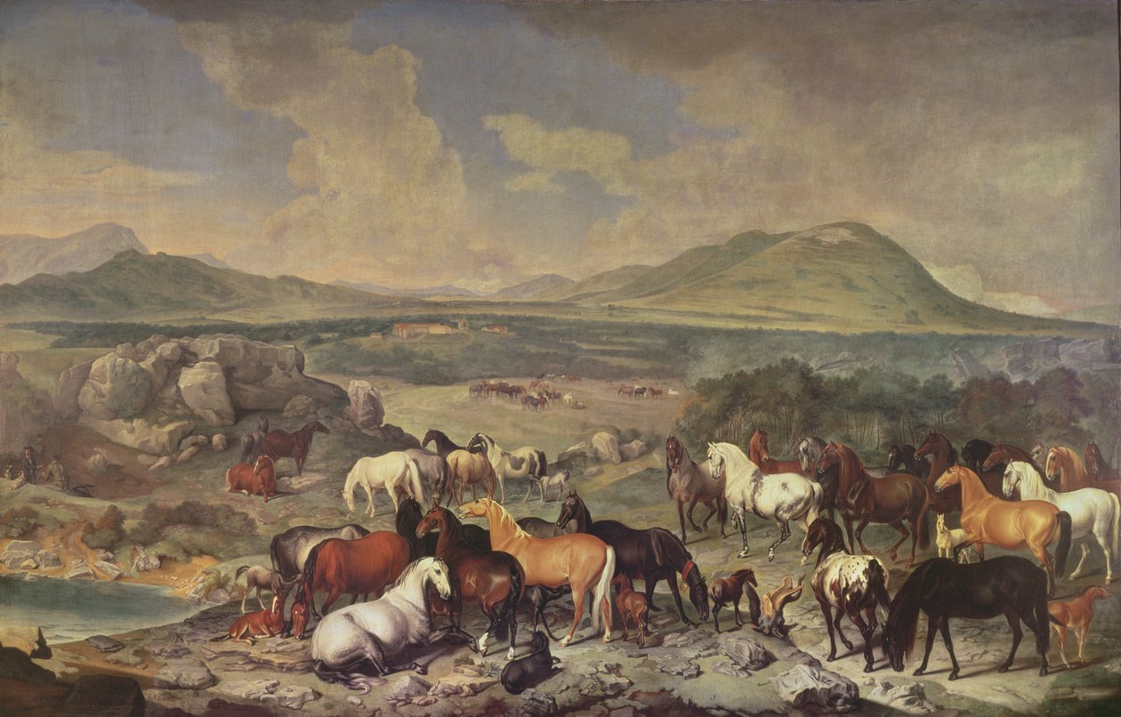 Das Kaiserliche Gestüt mit Lipizzaner Pferden von Johann Georg Hamilton