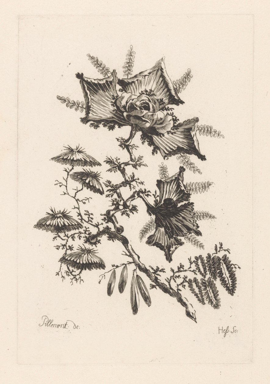 Blumen in Drachenform von Johann Heinrich  Hess