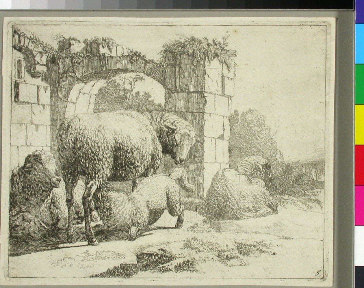 Schafe an einem zerstörten Tor von Johann Heinrich Roos